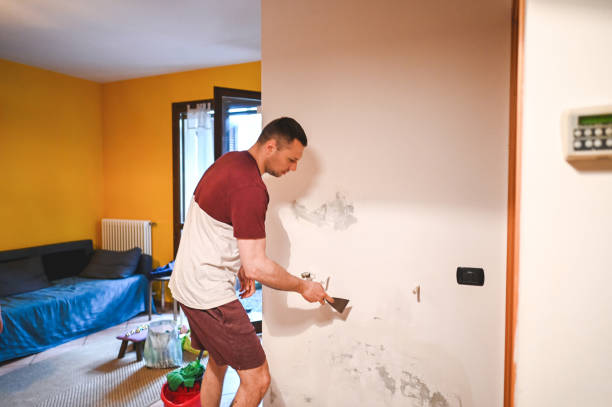 Mold Testing and Removal in Seven Hills, OH